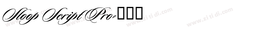 Sloop Script Pro字体转换